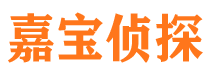 云梦市侦探调查公司